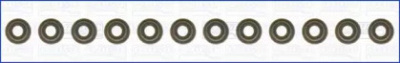 WILMINK GROUP wg1170058 -